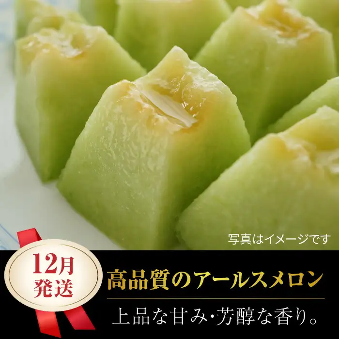 【先行予約】年内発送 クリスマスメロン セット【株式会社 前田ファーム】[ZCM004]
