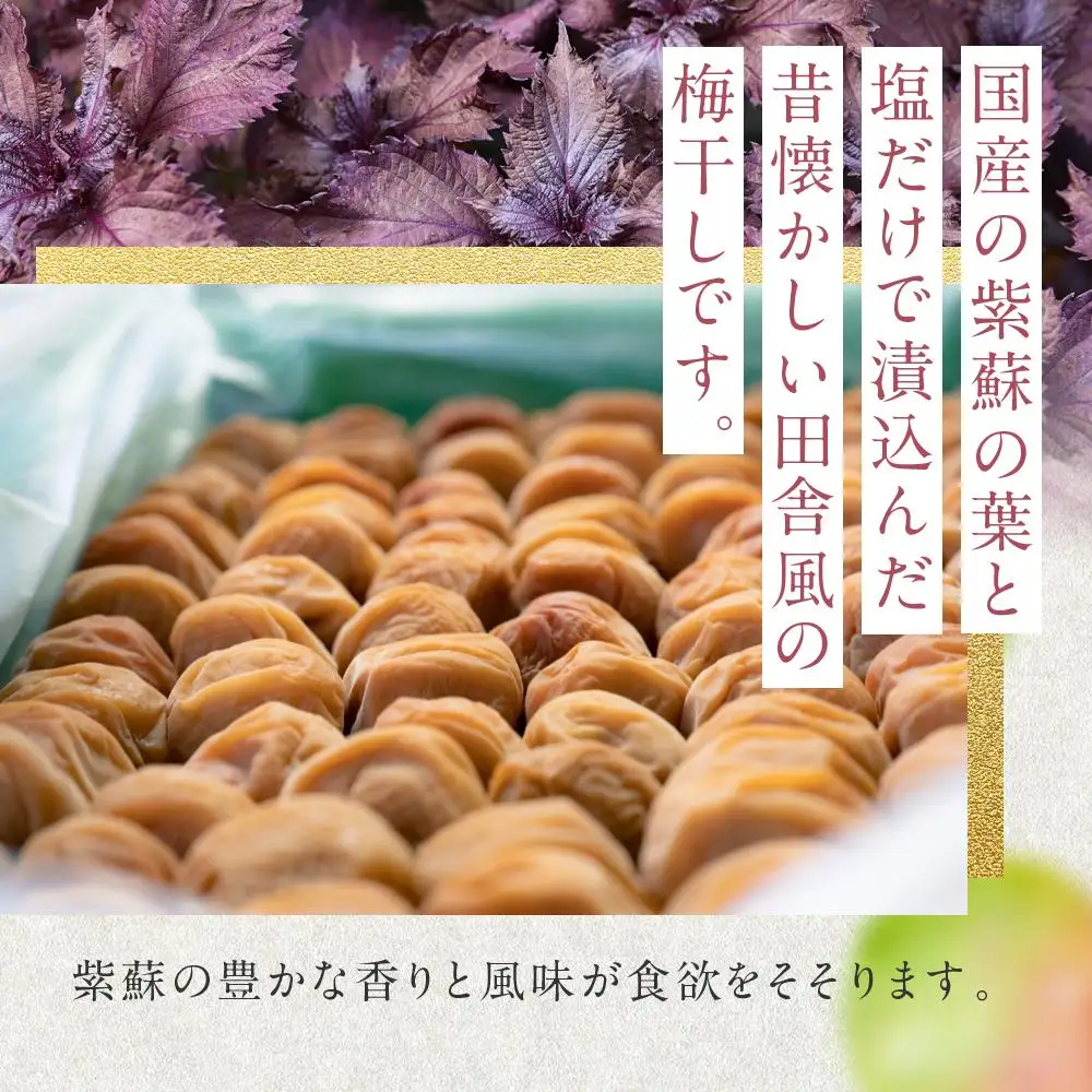 しそ漬梅干し 紀州南高梅 700g ( 350g × 2 ）塩分 約15％ ご自宅の郵便受けにお届け  ご家庭用