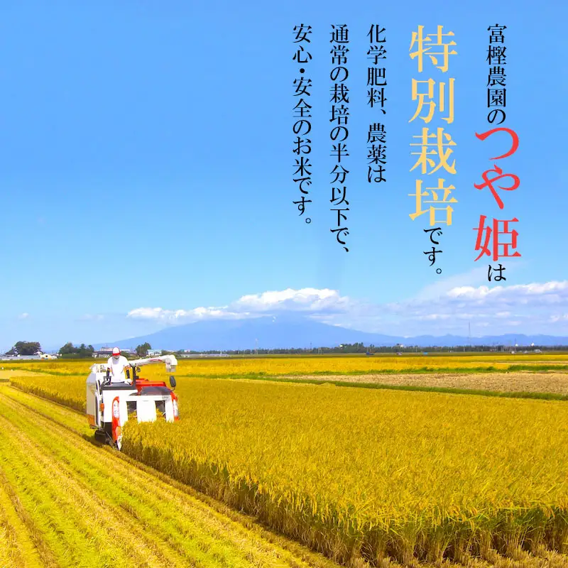 【令和8年産先行予約】 富樫農園の特別栽培米つや姫 精米5kg 山形県鶴岡市産　K-842