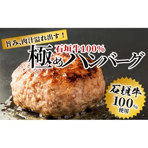 【合計1.5kg】石垣牛 100% 極めハンバーグ 150g×10個  TM-6