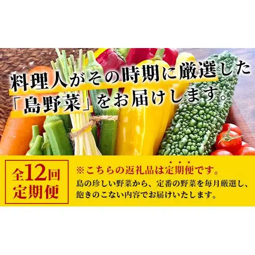 【定期便 12ヶ月】料理人が厳選した島野菜 (6～10品目×12回)   TM-8