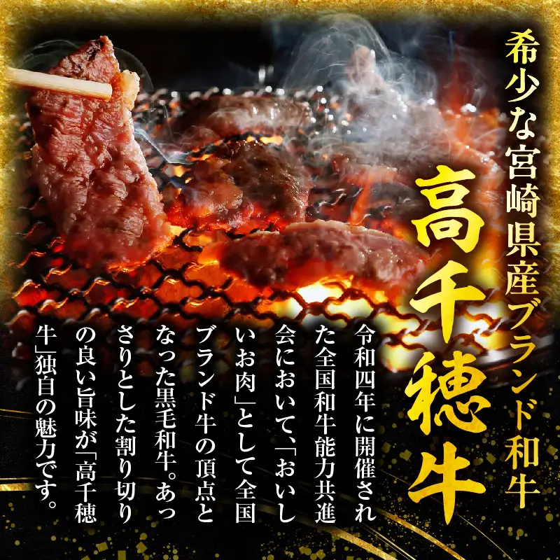 宮崎県産黒毛和牛A4等級以上 高千穂牛バラ肉 500g 牛肉 肉 お肉 精肉 牛バラ A4 ブランド牛 国産牛 黒毛和牛 国産 国産牛肉 焼肉 炒めもの 料理 冷凍 アウトドア キャンプ グランピング BBQ 一人焼肉 _Tk002-068