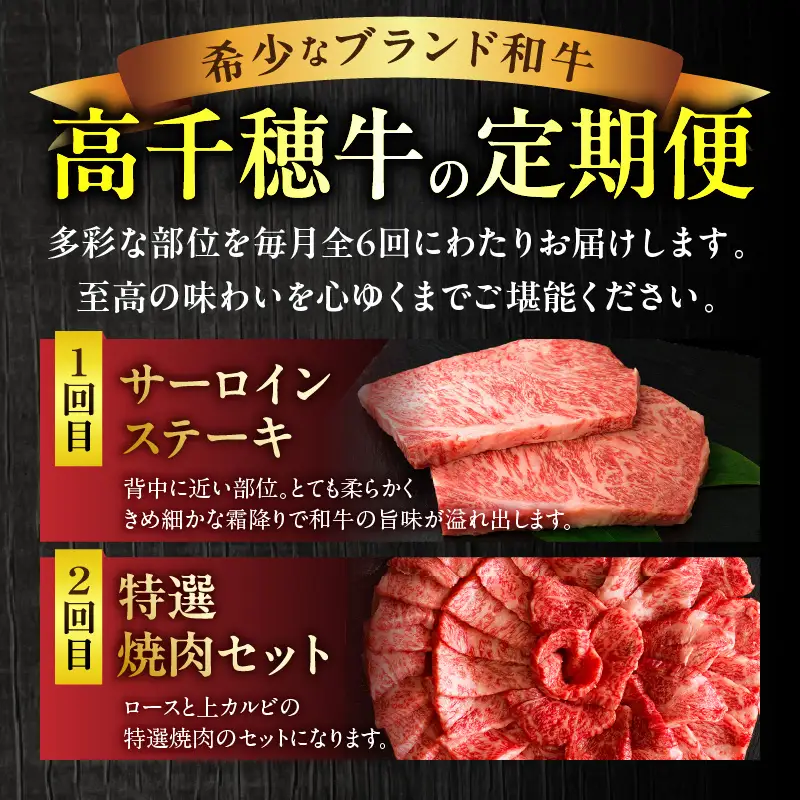 宮崎県産黒毛和牛A4等級以上 高千穂牛フルコース（6ヶ月定期便）牛肉 肉 お肉 精肉 定期便 サーロイン ステーキ 焼肉 BBQ ロース カルビ こま肉 小間切れ モモ ハンバーグ しゃぶしゃぶ すき焼き すきしゃぶ 薄切り スライス 国産 セット 詰め合わせ パーティー アウトドア キャンプ グランピング お祝い ギフト プレゼント_Tk002-t054