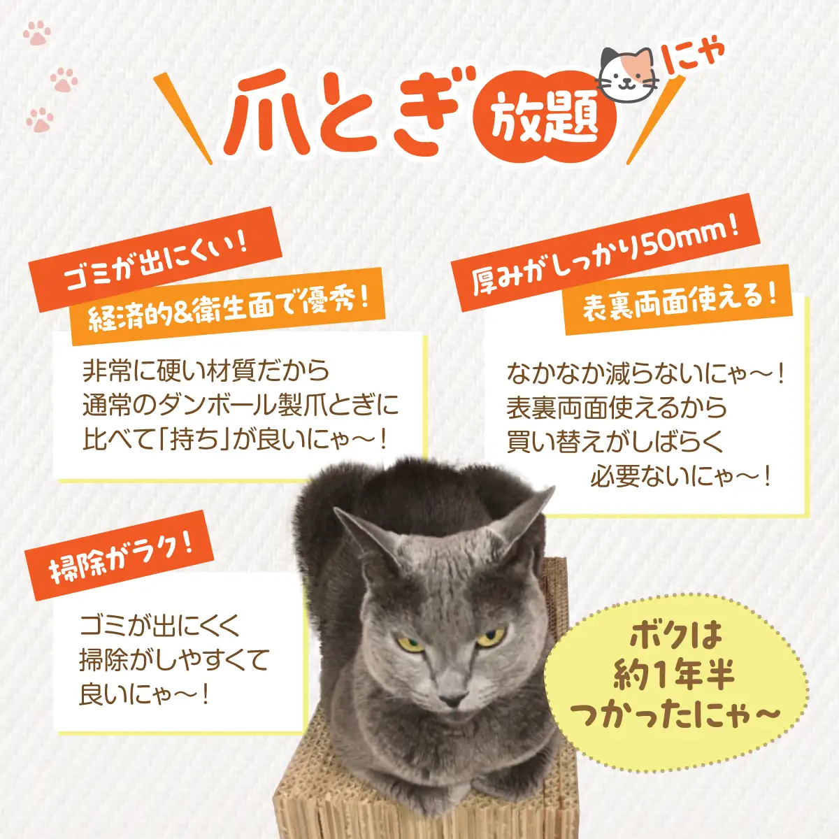 【長持ちする猫の爪とぎ】ズットモーツ 5個セット MROJ003