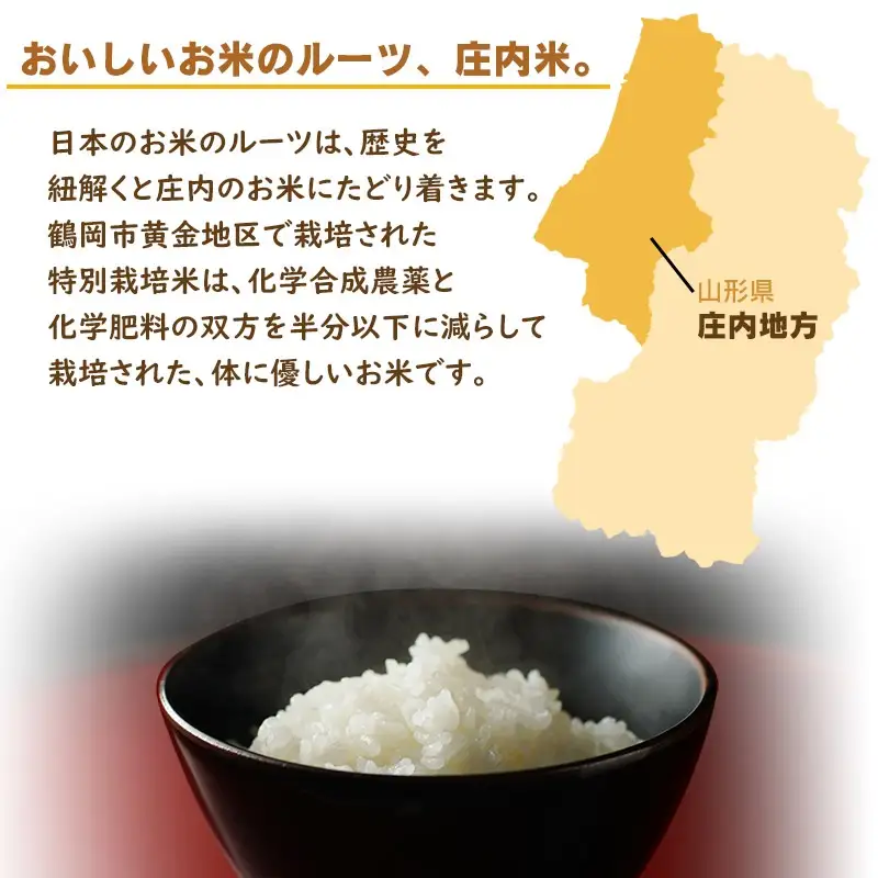 【令和7年産】 はえぬき10kg (5kg×2) 山形県庄内産　鶴岡米穀商業協同組合 |  精米 東北 山形 鶴岡 国産 ブランド米 米どころ 庄内米 粒がしっかり ご飯 おにぎり 冷めても美味しい お弁当 おすすめ お取り寄せ 返礼品
