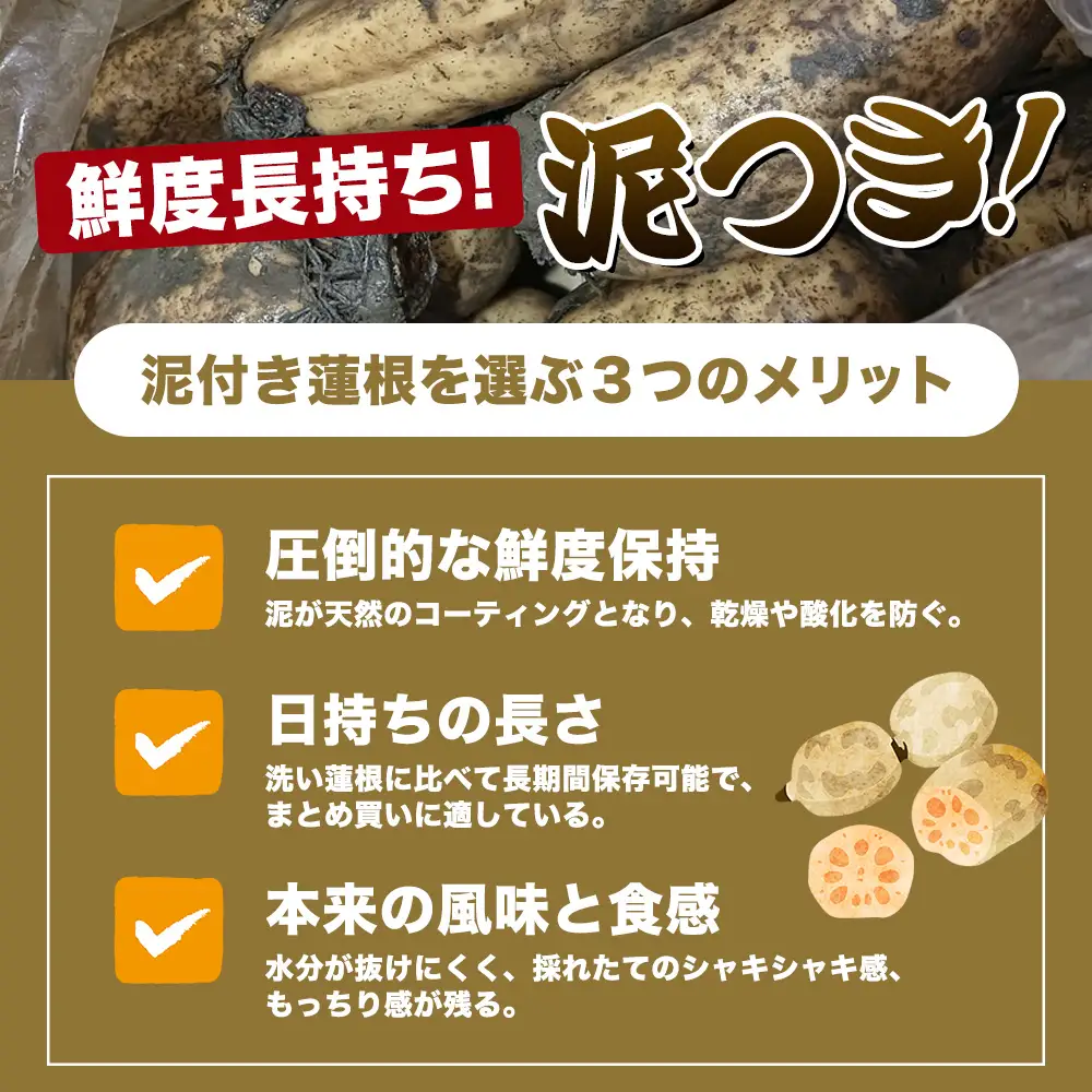 【予約受付】佐賀県産 れんこん 約4kg 野菜 やさい レンコン れんこん 蓮根 料理 贈り物 プレゼント 贈答 ギフト 野菜ギフト A-169