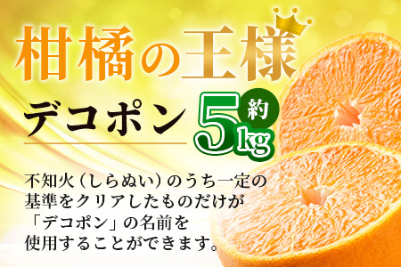 【予約受付】基準クリアの高級柑橘【デコポン】約5kg 不知火 しらぬい でこぽん みかん 蜜柑 ミカン オレンジ 柑橘 フルーツ 果物 贈り物 贈答 プレゼント 高級 ブランド 限定 ギフト B-672