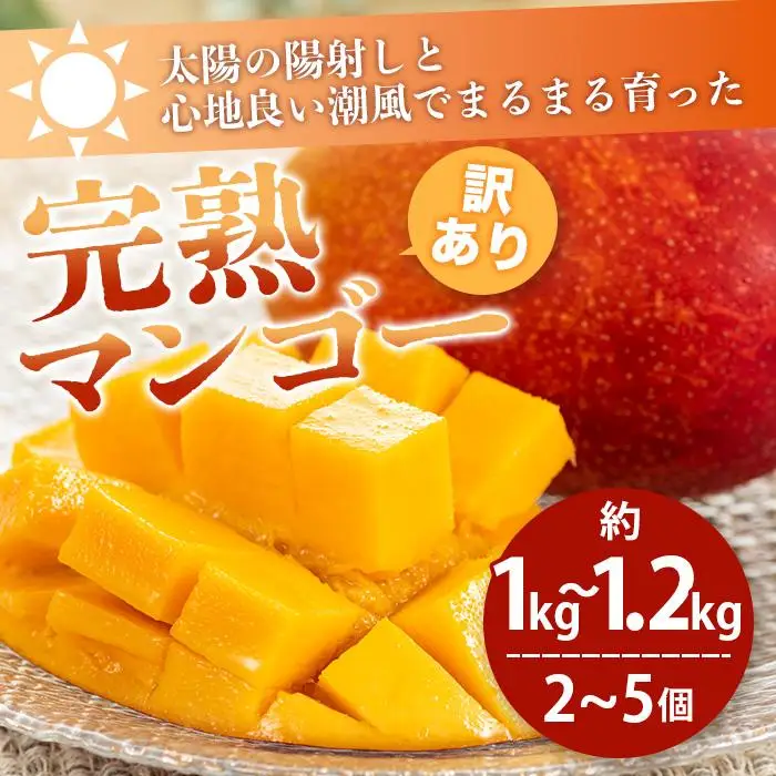【訳あり】 完熟 マンゴー (約1～1.2kg 2～5個) KP-013
