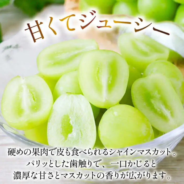 【2026年8月下旬?発送】シャインマスカット 約2kg（約2-5房）/ マスカット シャインマスカット ますかっと ぶどう 葡萄 ブドウ フルーツ 果物 / 南島原市 / 長崎県農産品流通合同会社 [SCB076]