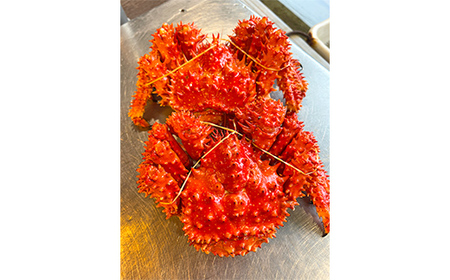 【茹でたて未冷凍】北海道産・ボイル花咲蟹2尾で1.0～1.2kg かに カニ 花咲ガニ 釧路 海鮮 F4F-4789