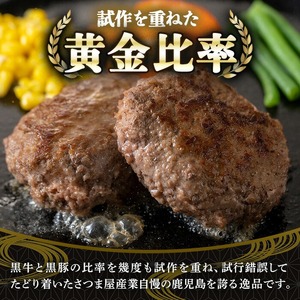 鹿児島黒牛黒豚ハンバーグ(8個・計1.04kg) 国産 九州産 鹿児島県産 お肉 ぶた ブタ 豚肉 牛肉 ミンチ パック 小分け 冷凍 冷凍ハンバーグ おかず 惣菜 調理 お弁当【さつま屋産業】_y436