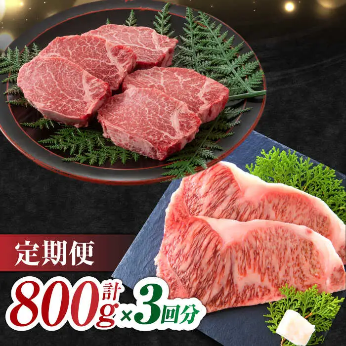 【3回定期便】黒毛和牛 佐賀牛 ヒレ＆サーロインステーキ 食べ比べ セット 計2.4kg  (ヒレ150g・サーロイン250g×各2枚×3回) [FDB036]