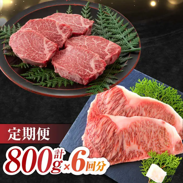 【6回定期便】艶さし！ 佐賀牛 ヒレステーキ＆サーロインステーキ 食べ比べ セット 計4.8kg  (ヒレ150g・サーロイン250g×各2枚×6回) 吉野ヶ里町 佐賀牛 ヒレ サーロイン ステーキ 牛肉 肉 ブランド牛 [FDB037]