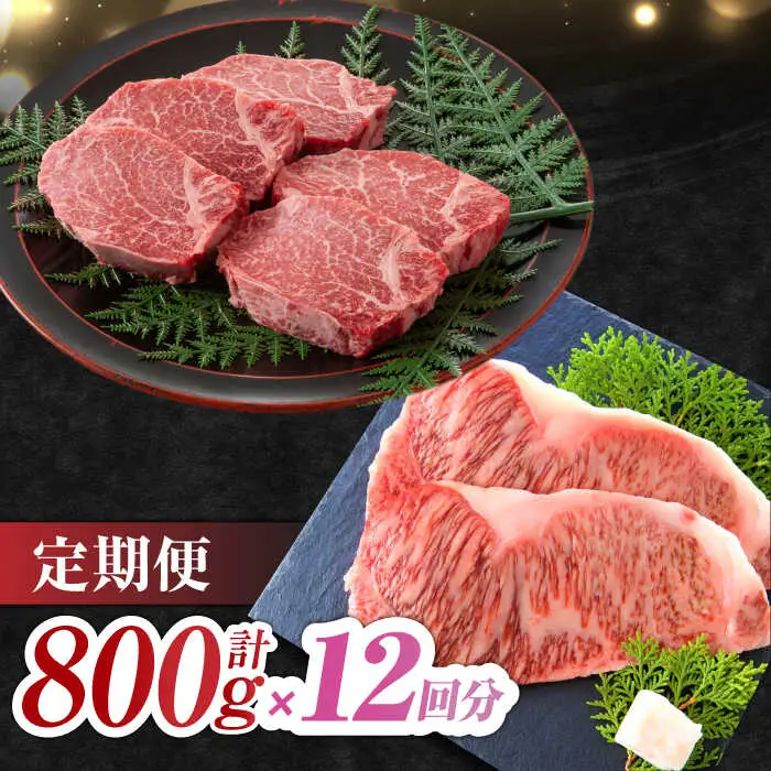 【12回定期便】佐賀牛 ヒレステーキ＆サーロインステーキ 食べ比べ セット 計9.6kg  (ヒレ150g・サーロイン250g×各2枚×12回) 吉野ヶ里町 佐賀牛 ヒレ サーロイン ステーキ 牛肉 肉 ブランド牛 [FDB038]
