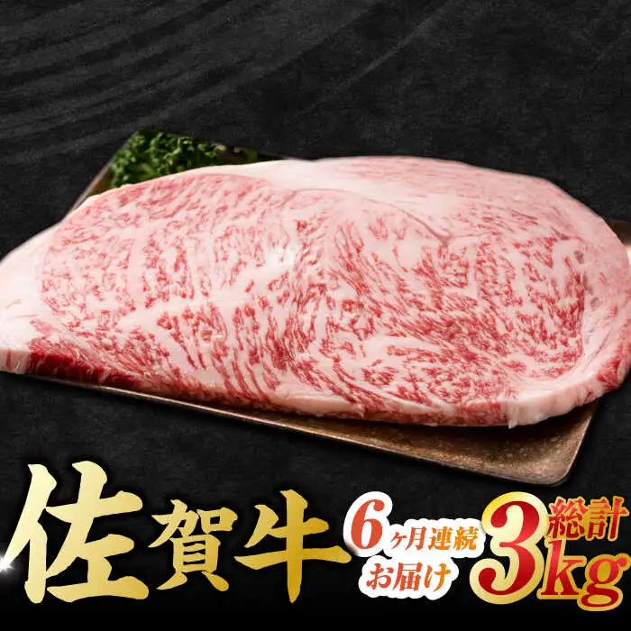 【6回定期便】 艶さし！ 佐賀牛 サーロインステーキ 計3kg (250g×2枚×6回) 吉野ヶ里町 佐賀牛 牛肉 肉 国産 ブランド牛 サーロイン ステーキ [FDB040]
