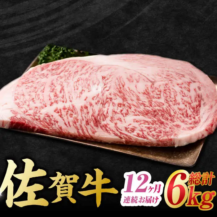 【12回定期便】佐賀牛 サーロインステーキ 計6kg (250g×2枚×12回) すてーき 黒毛和牛[FDB041]