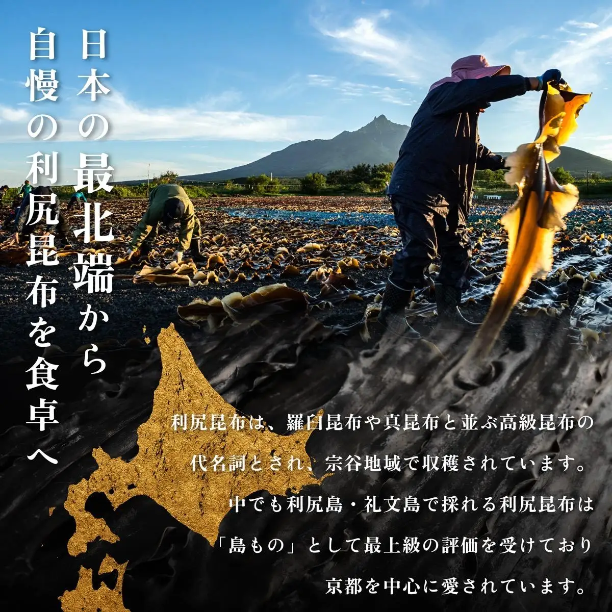利尻島名産 利尻とろろ昆布 徳用350g｜北海道産 海藻  お鍋 和食 湯豆腐 海産物 利尻島 [1020004]
