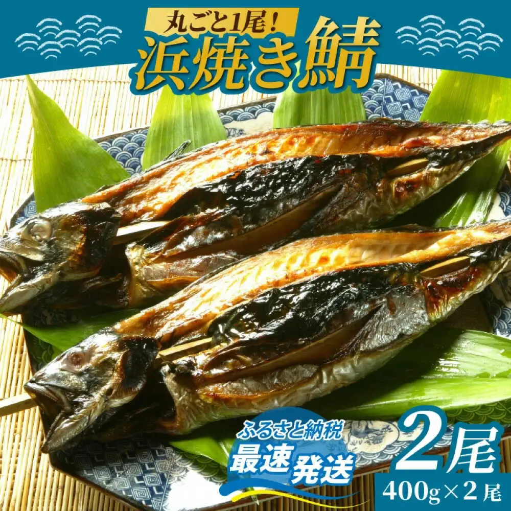 浜焼き鯖 400g  2尾 【配送不可地域：離島】 小浜市 / 朽木屋 [BFCM003] 