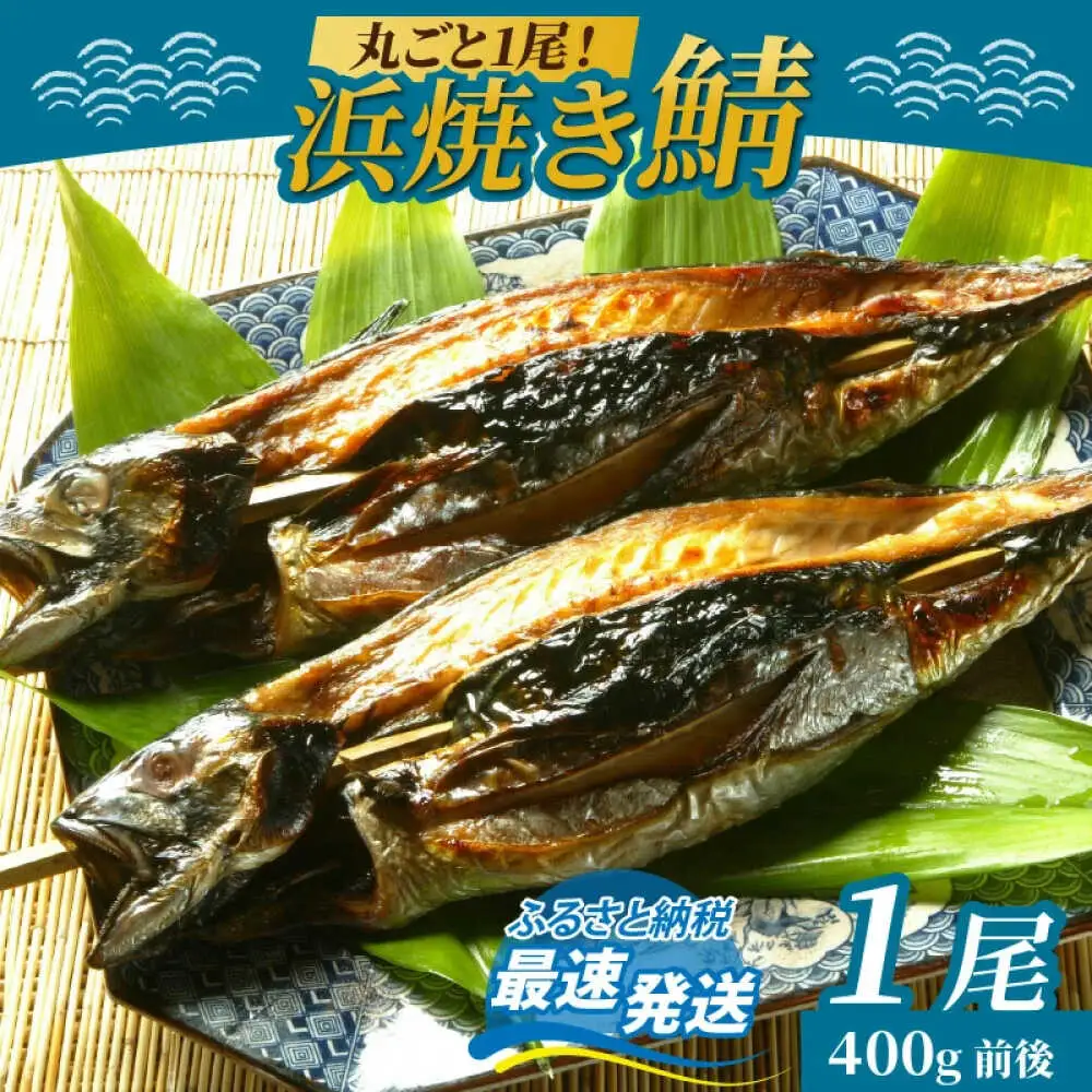 浜焼き鯖 400g  1尾 【配送不可地域：離島】 小浜市 / 朽木屋 [BFCM004] 