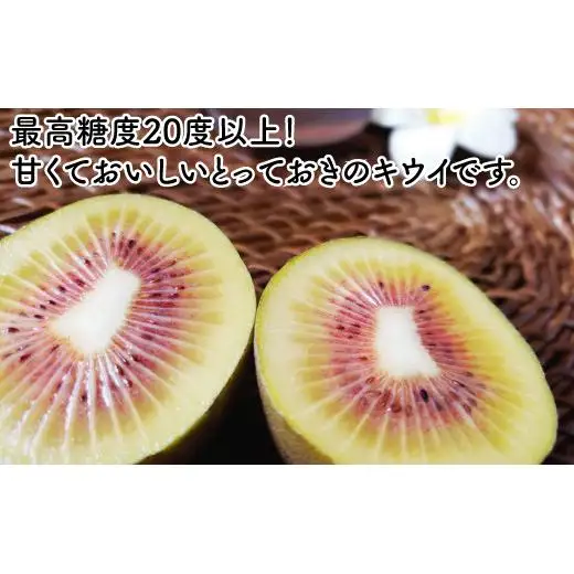 ＜10月下旬以降発送＞【ぽぽ農園】レインボーレッドキウイ（四国中央市産レインボーレッド） M サイズ 約1.7kg（18個～22個）