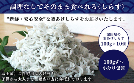 ＜老舗網元 濱田屋の釜あげしらす 計1kg（100g×10袋）＞『1か月以内に順次出荷予定』 減塩 数量限定 化粧箱 簡易包装 選べる 釜揚げ シラス じゃこ 海鮮 海産物 丼 小魚 乾物 小分け カルシウム 国産 マルヨシ水産 愛媛県 西予市【冷凍】 AMS0015