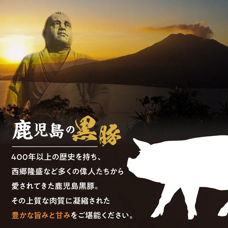 かごしま黒豚 下ロースカツ用 8枚入り K146-005 肉 豚肉 冷凍
