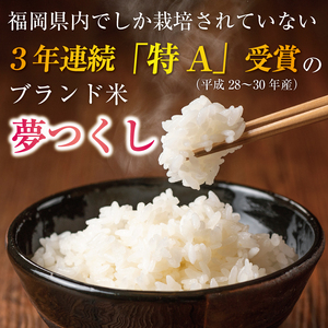 【ふるさと納税】令和8年産 福岡県産 ブランド米「夢つくし」無洗米 計20kg [a7249] 株式会社 ゼロプラス 【返礼品】添田町 ふるさと納税