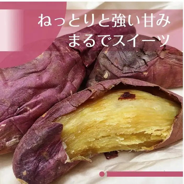 2025年度産 濃厚な甘みさつまいも 紅はるか5kg【茨城県共通返礼品/行方市】【さつまいも サツマイモ 芋 お芋 甘い ねっとり 美味しい 大量 茨城県 北茨城市 】(AK201)