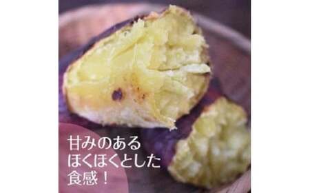 2025年度産 ホクホクで甘いさつまいも すずほっくり10kg【茨城県共通返礼品/行方市】【さつまいも サツマイモ 芋 お芋 甘い ホクホク 美味しい 大量 茨城県 北茨城市】(AK206)
