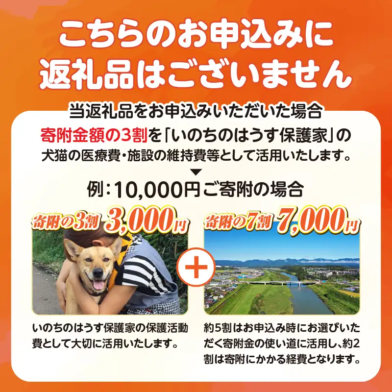 保健所犬猫レスキュー【返礼品なしのご寄附】犬 猫 保護 レスキュー 動物愛護 返礼品なし ペット 保護犬 保護猫 支援 応援 ボランティア_kn101-002
