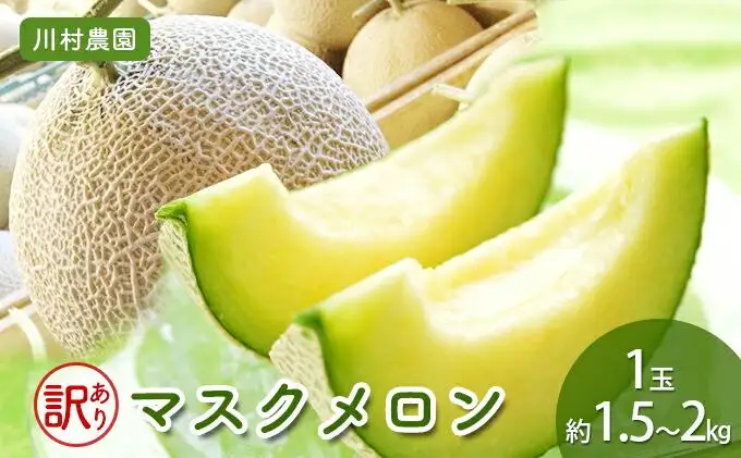 【静岡・三保松原の甘い誘惑マスクメロン】訳ありでも甘い！マスクメロン 1玉（約1.5kg～2kgサイズ）■