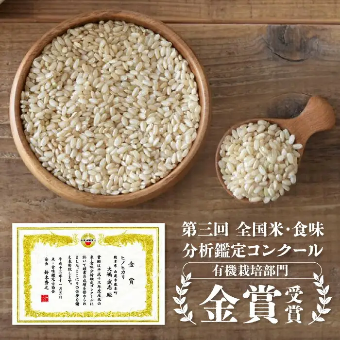 〈令和7年度産米〉 【金賞受賞米使用】くまもとの元気！発芽玄米 2kg×2袋【株式会社 れんげ・カンパニー】発芽玄米 有機栽培 真空パック 熊本 令和7年産 [ZAX003]