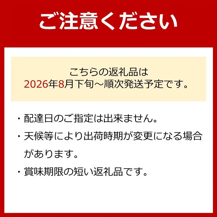 有田産 巨峰 1.2kg 3~4房 フルーツ 巨峰 ［2026年8月下旬以降発送］ 先行予約 和歌山 