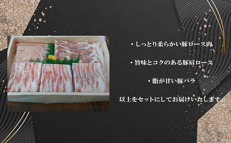 「あいぽーく」しゃぶしゃぶ用3種セット（ロース・肩ロース・バラ）各250g×3（計750g） 豚肉 美味しい肉 鍋 小分け 石川養豚場 ブランド 豚 国産豚 農場 HACCP 認証 愛知県産豚肉 うす切り 人気 冷凍 おいしい 食べ比べ 詰め合わせ 冷しゃぶ 肉巻き ポーク 愛知県 常滑市