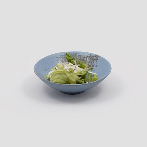 佳窯 碗 Φ18cm（水色） 常滑焼 陶器 食器 鉢碗 鉢椀 煮物やサラダ等に 皿 18cm 電子レンジ可 食洗機使用可 シンプル 贈り物 プレゼント 日本製 水色 青 キッチン キッチン用品 チャラ おしゃれ INAX 日本六古窯 愛知県 常滑市