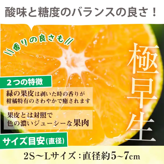＜数量・期間限定＞ 極早生 温州みかん 5kg 箱満杯バラ詰め！2S～Lサイズ 果樹【00-054-07】