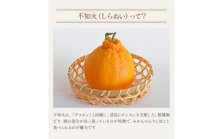 A203 ひとくち不知火 1kg×3袋 合計3kg みかん むかん 九州産 不知火 無添加 冷凍 福岡県 みやま市