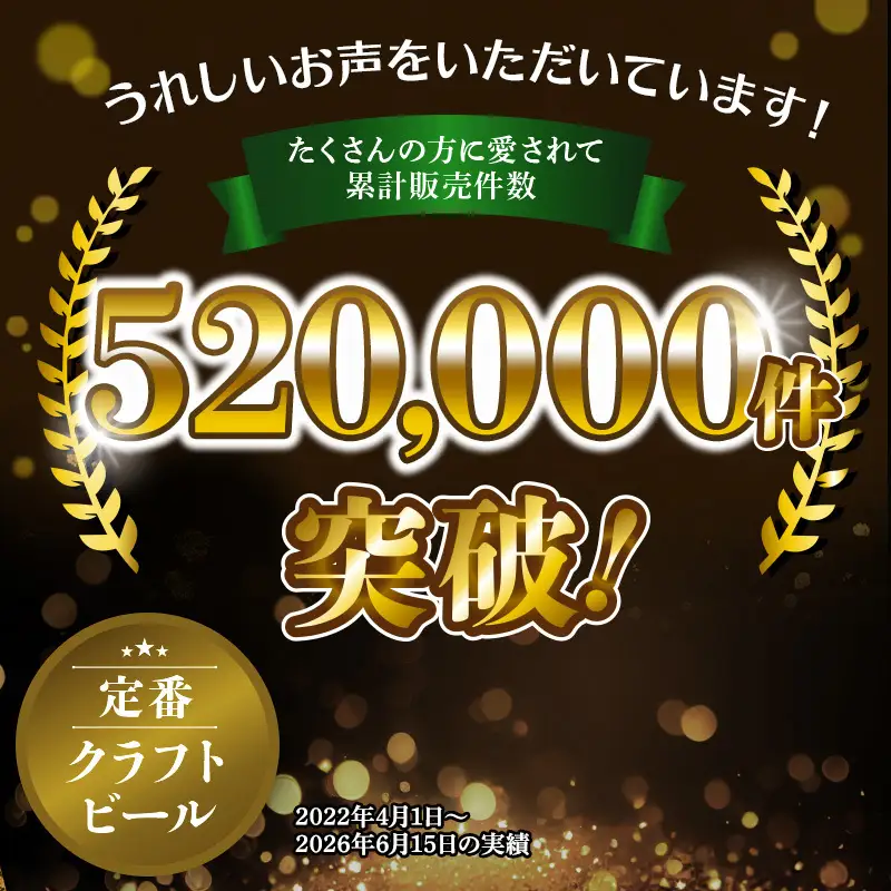 エチゴビール クラフトビール 12本 セット クラフトビール