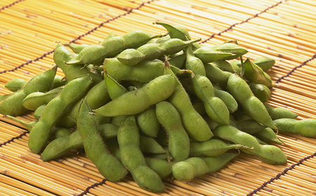 【8月中旬～9月中旬お届け】枝豆 黒埼茶豆 1.5㎏ 枝豆