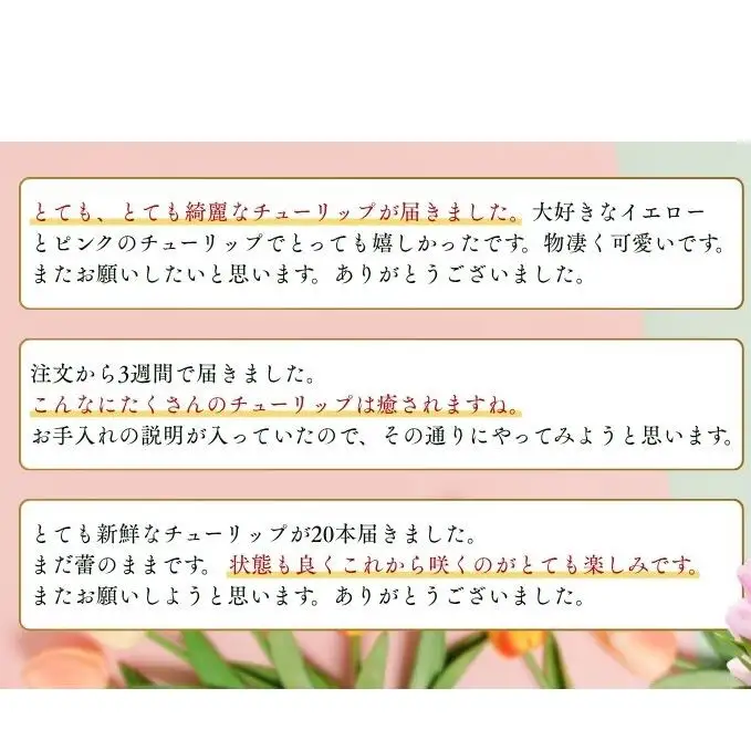 フラワーファームしろねのチューリップ切花20本（黄・ピンク　各10本） 植物 花束 