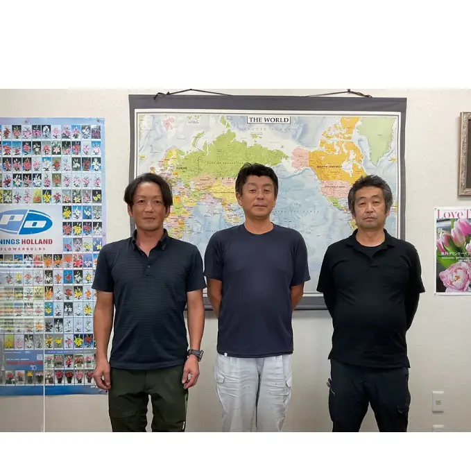 フラワーファームしろねのチューリップ切花30本（黄・赤・ピンク　各10本） チューリップ 花束 植物 花 切花 