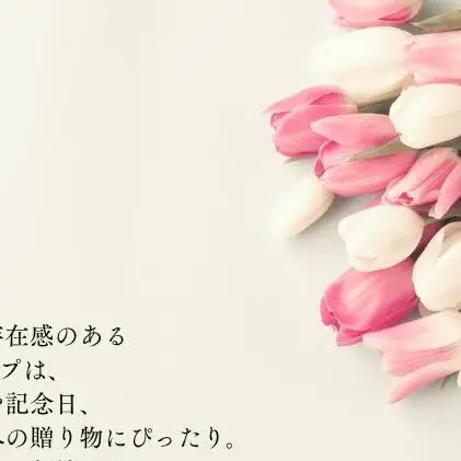 フラワーファームしろねのチューリップ切花30本おすすめアソート（3品種×各10本） チューリップ 花束 植物 フラワー 花  