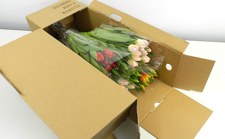 【1・2・3月定期お届け計3回】フラワーファームしろねのチューリップ切花50本おすすめアソート 植物 花束 