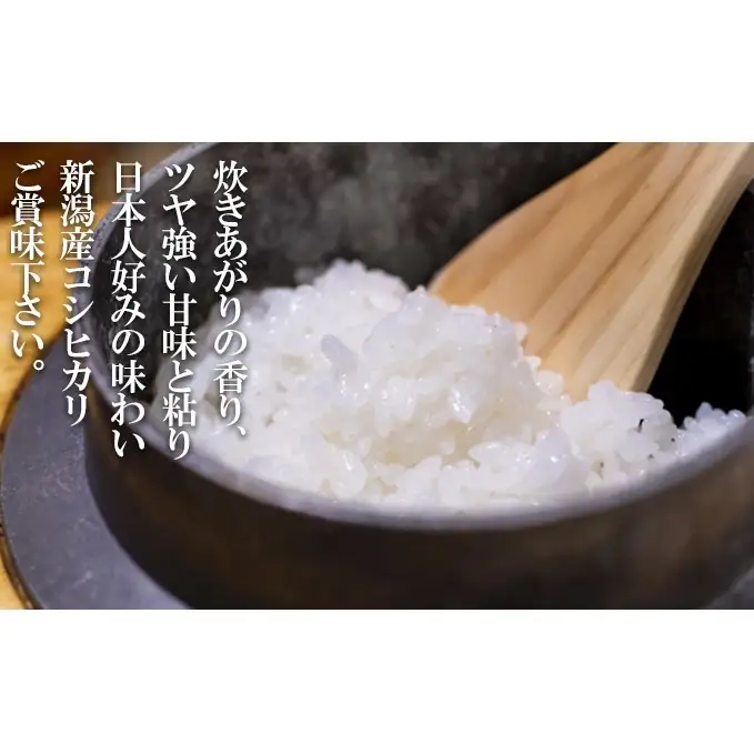 コシヒカリ 特別栽培米 10㎏ 新潟県産 こしひかり