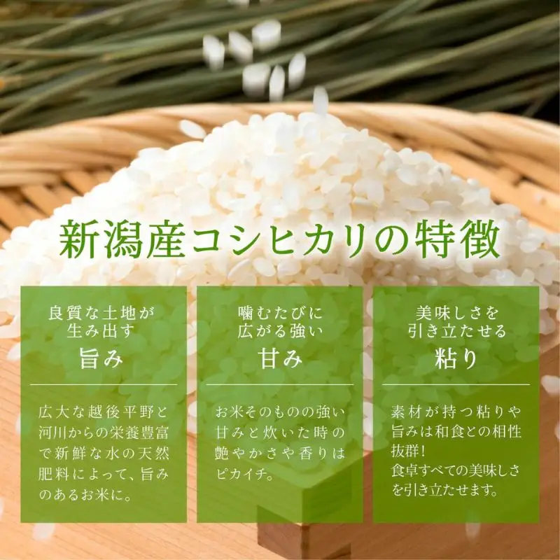 無洗米新潟産コシヒカリ6ヵ月定期 5kg