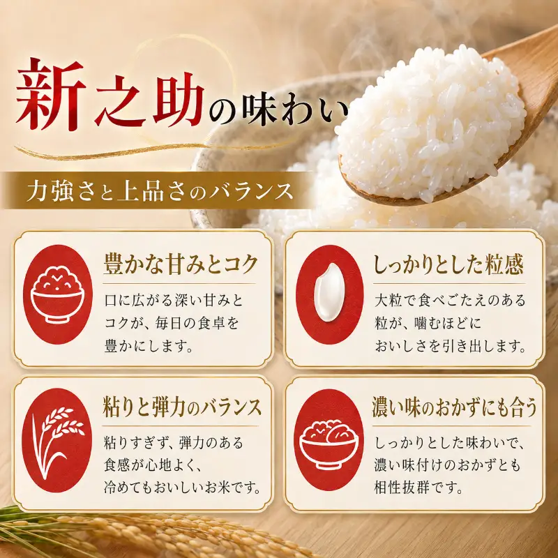 無洗米 新潟産 新之助5kg 産地直送