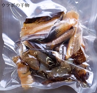 からあげ用ウツボ２種類セット カット干物（100g）＆切り身生（200g×2P）【R00363】