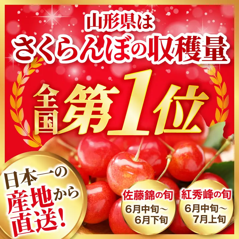 さくらんぼ 佐藤錦 秀L 1kg 令和9年産 先行予約 さくらんぼ