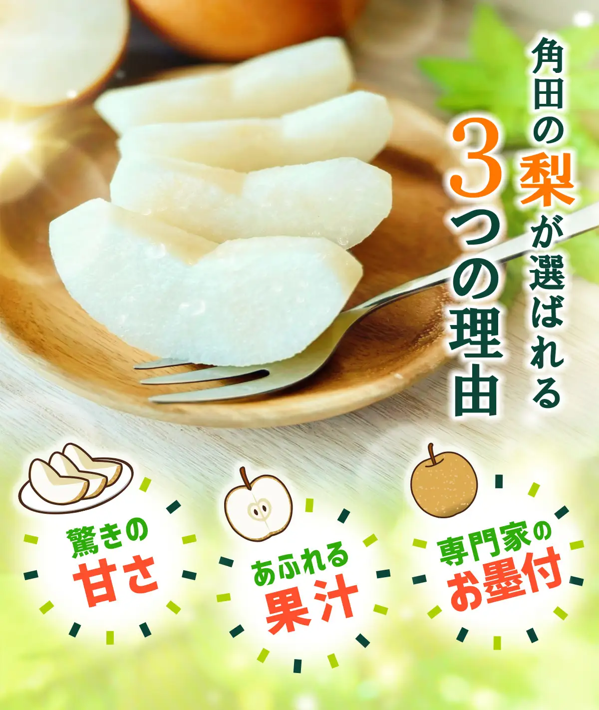 【2026年発送】梨「甘太」約5kg（5～7玉入）松崎果樹園 ｜ 梨