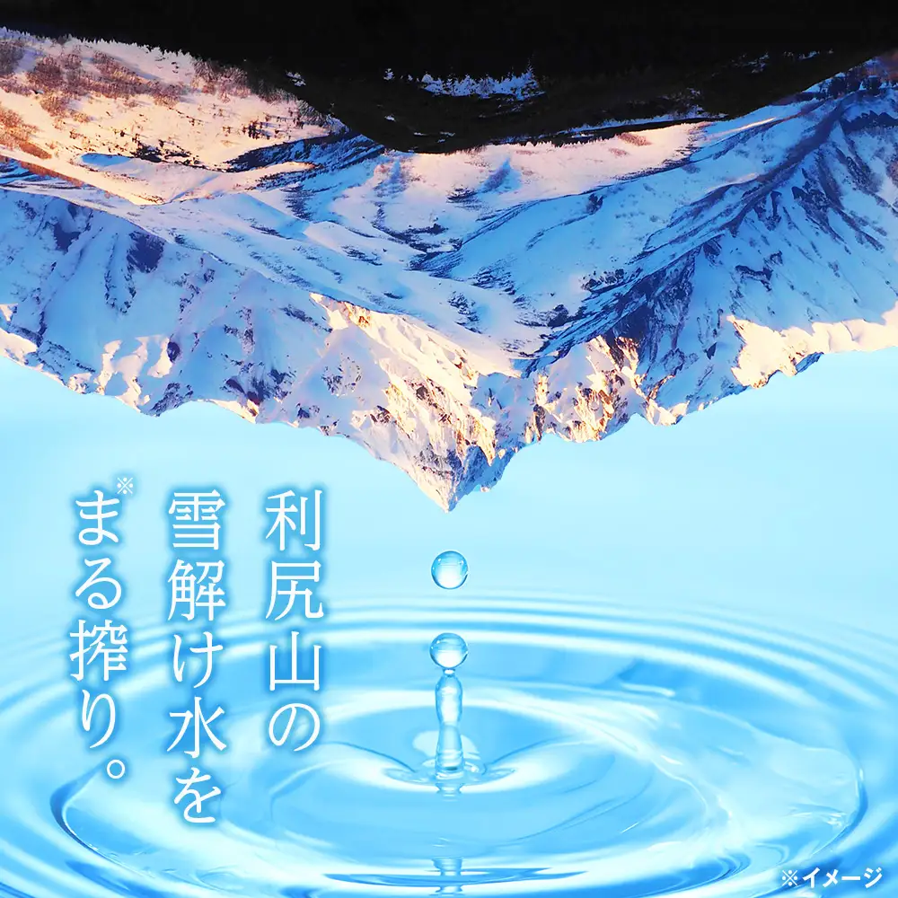 【定期便】天然ケイ素水リシリア(500ml×24本)×3回(2ヶ月毎)